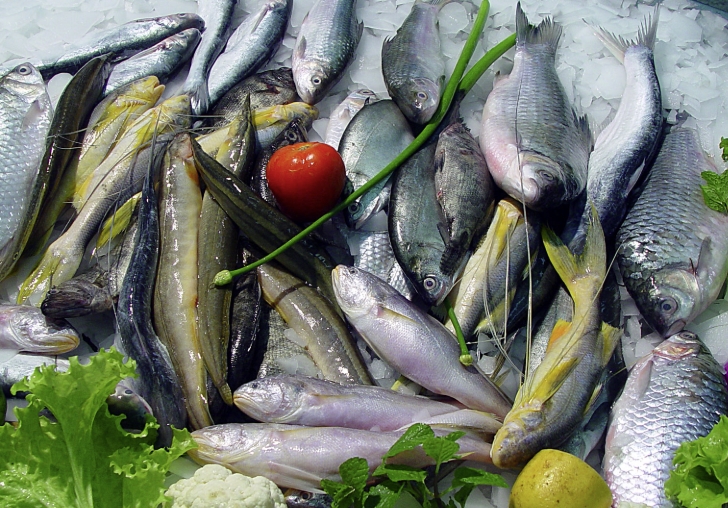 Food Fisheries